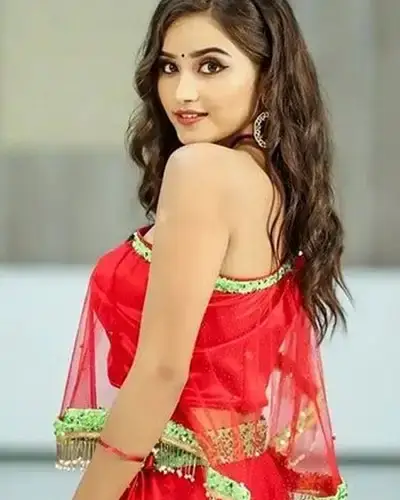Call Girls Service Kundapura